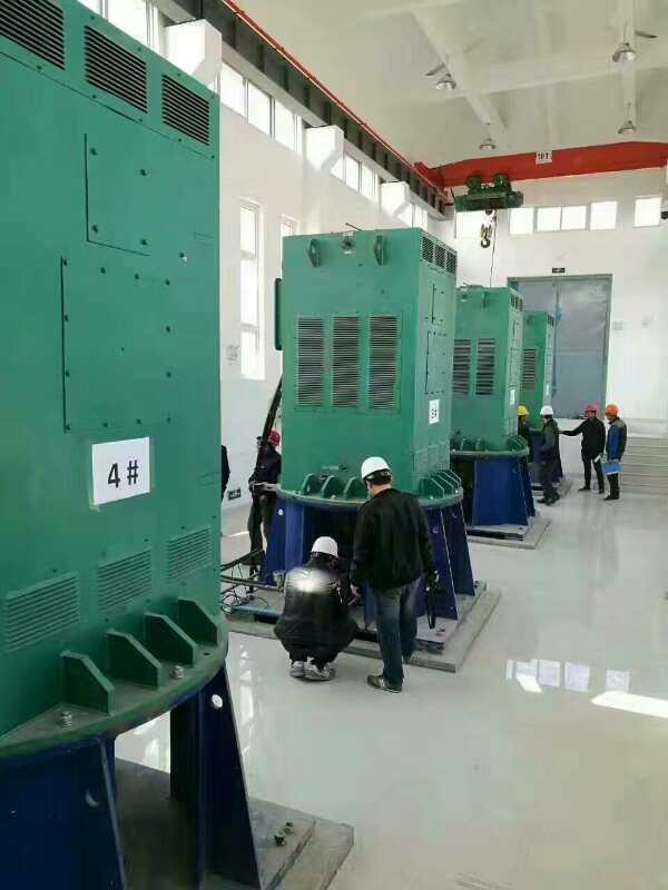 博鳌镇某污水处理厂使用我厂的立式高压电机安装现场
