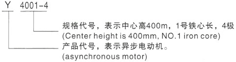 西安泰富西玛Y系列(H355-1000)高压博鳌镇三相异步电机型号说明